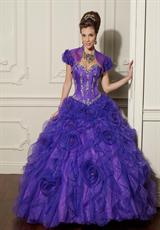 Bright Purple